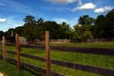 paddock