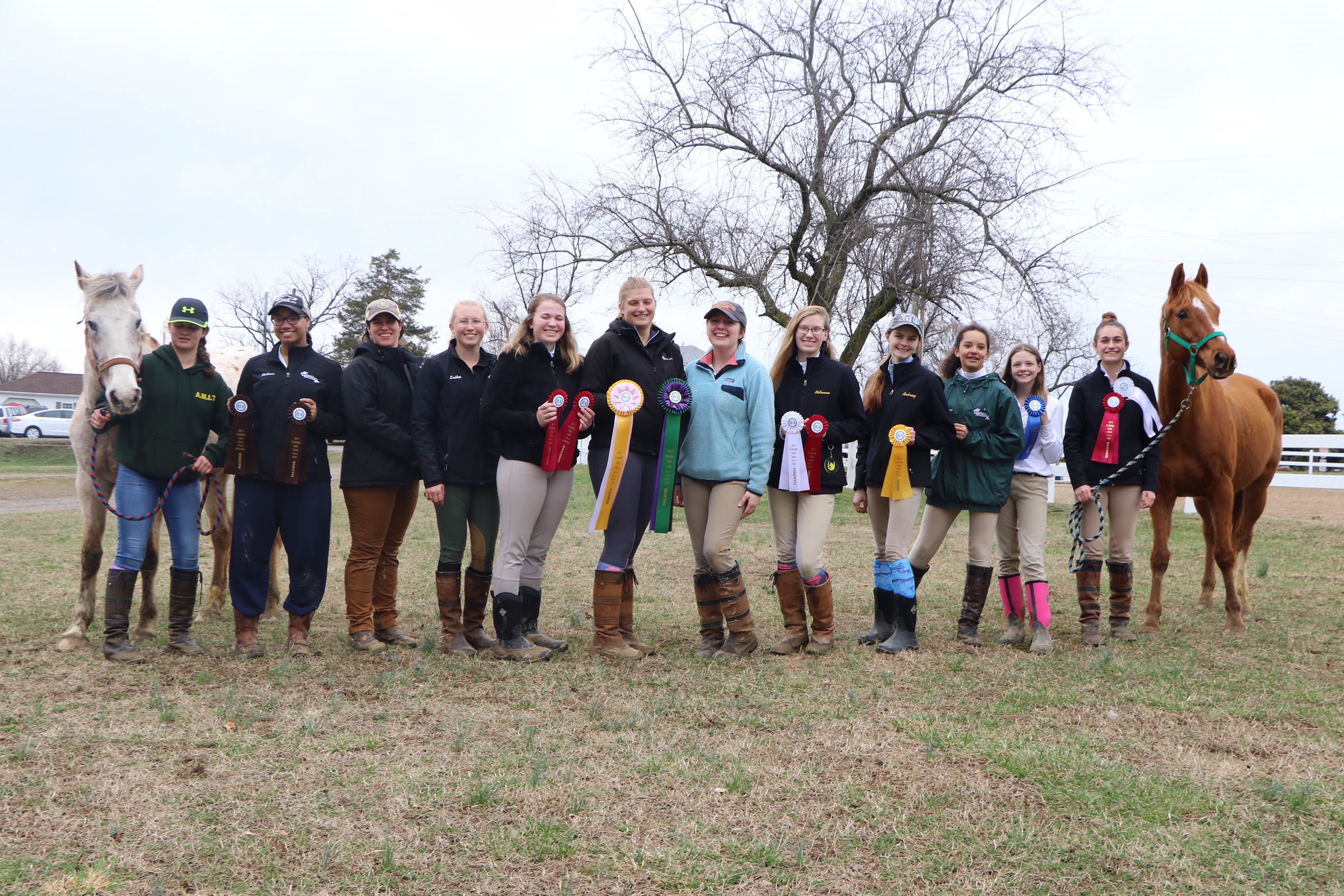 IEA Riders